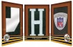 2009 Topps Triple Threads Football 4