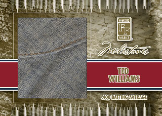 2010 Famous Fabrics Second Edition 23