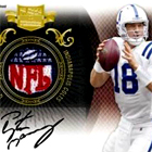 2010 Panini Plates & Patches Football