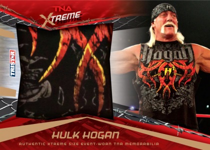 2010 TNA Xtreme Wrestling 4