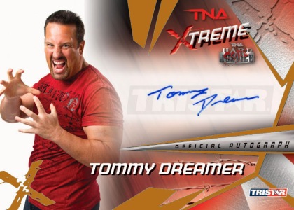 2010 TNA Xtreme Wrestling 11