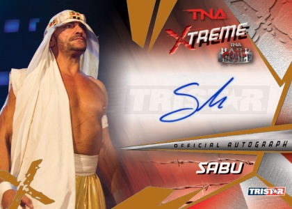 2010 TNA Xtreme Wrestling 12
