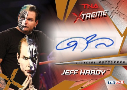 2010 TNA Xtreme Wrestling 14