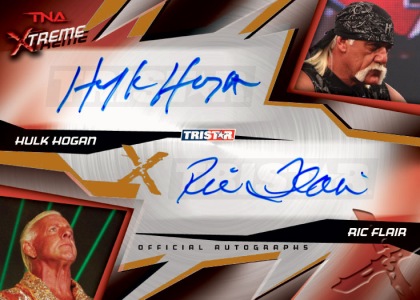 2010 TNA Xtreme Wrestling 16
