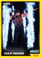 2011 TriStar TNA Signature Impact Wrestling 23