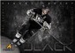 2011-12 Pinnacle Hockey 3