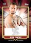 2011 Topps WWE Classic Autographs Gallery & Checklist 2