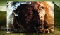 2013 Bulls I Toy Walking Dead Season 2 Dog Tags 5