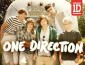 2013 Panini One Direction Trading Cards 2