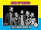 Mumford and Sons Rookie Card? Topps and Lollapalooza Partner for Trading Cards 3