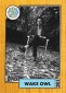 Mumford and Sons Rookie Card? Topps and Lollapalooza Partner for Trading Cards 30