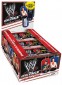 2013 Topps WWE Signature Series Dog Tags 1
