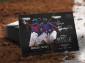 2013 Onyx Authenticated Platinum Prospects Series 2 Baseball Cards 2