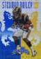 2013 Panini Rookies and Stars Crusade Is an Insert Set Worth Chasing 42