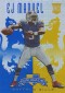 2013 Panini Rookies and Stars Crusade Is an Insert Set Worth Chasing 18