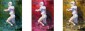 2013 Fleer Retro Football Cards 17