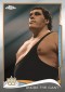 2014 Topps Chrome WWE Wrestling Cards 5