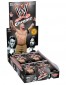 2014 Topps Chrome WWE Wrestling Cards 19