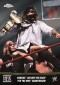 2014 Topps Chrome WWE Wrestling Cards 16