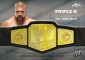 2014 Topps Chrome WWE Wrestling Cards 18
