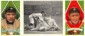 Ty Cobb Cards and Autograph Buying Guide 47