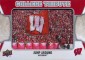 Trophies and Traditions: 2014 Upper Deck Football College Tribute Gallery 5