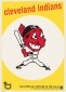 2014 Topps Throwback Team Logo Collection Baseball Wall Art 8