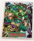 2014 IDW Limited Teenage Mutant Ninja Turtles 30th Anniversary Sketch Cards 3