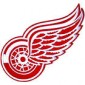 Detroit Red Wings Collecting and Fan Guide