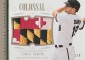 2014 Panini National Treasures Baseball Hits Gallery and Hot List 20