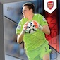 2015 Topps Premier Gold 5x7 Soccer Cards