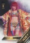 2016 Topps WWE Wrestling Cards 35