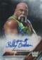 2016 Topps WWE Wrestling Cards 32