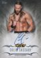 2016 Topps WWE Undisputed Wrestling Cards 31