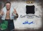 2016 Topps WWE Undisputed Wrestling Cards 33