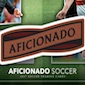 2017 Panini Aficionado Soccer