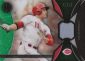 2017 Topps Tribute Baseball Cards 41