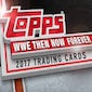 2017 Topps WWE Then Now Forever