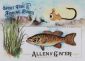 2017 Topps Allen & Ginter Baseball Cards 51