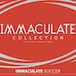 2017 Panini Immaculate Collection Soccer