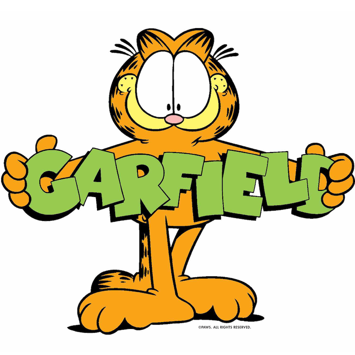 Funko Pop Garfield Vinyl Figures