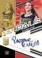 2023 Donruss Elite WWE Wrestling Cards 17