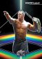 2024 Leaf Metal Legends Wrestling Cards 7