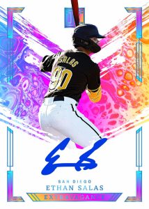 extavagance_autos_plat._salas_copy 1