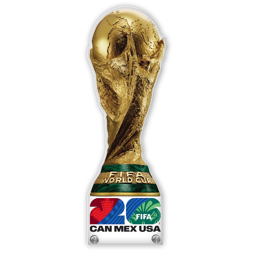 fANATICS FIFA
