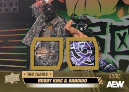 2026 Upper Deck AEW Wrestling Set Review and Checklist 12