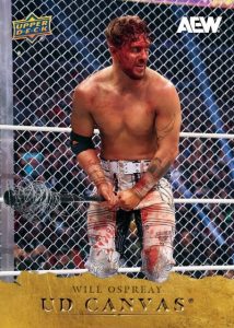 2026 Upper Deck AEW Wrestling Set Review and Checklist 11